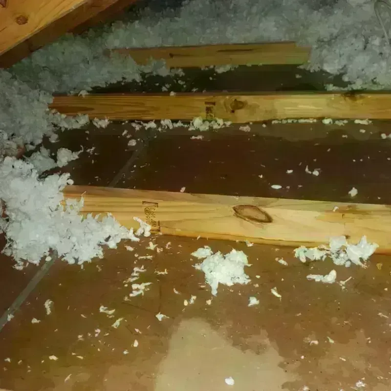 Attic Water Damage in Monticello, NY